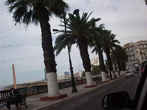 ORAN VOYAGE SEPTEMBRE 2010   (22)